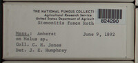 Image Associated With the Occurence